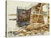 Stretched Canvas Print