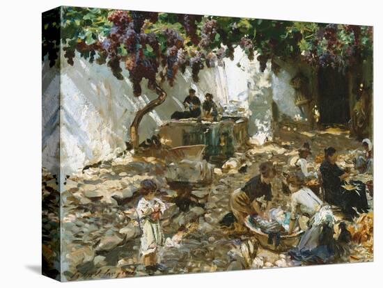 Stretched Canvas Print, , large