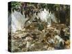 Stretched Canvas Print