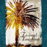 Eternal Sunshine-John Spaeth-Art Print