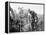 John Steinbeck-Associated Press-Framed Premier Image Canvas
