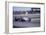 John Surtees Driving a Honda, Spanish Grand Prix, Jarama, 1968-null-Framed Photographic Print