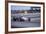 John Surtees Driving a Honda, Spanish Grand Prix, Jarama, 1968-null-Framed Photographic Print