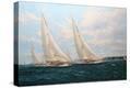Stretched Canvas Print