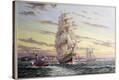 Stretched Canvas Print