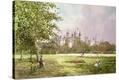 Stretched Canvas Print