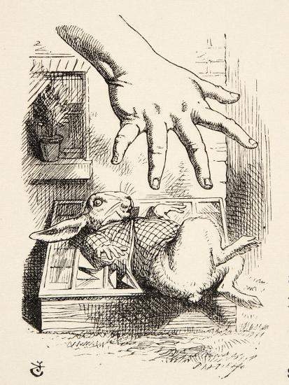 Illustration Of The White Rabbit In Lewis Carroll S Alice Alice In
