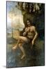 John the Baptist, with the Attributes of Bacchus, 1513-1516-Leonardo da Vinci-Mounted Giclee Print