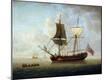 Giclee Print