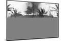 Premium Photographic Print