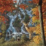 Sanctuary Falls-John Van Straalen-Framed Premier Image Canvas