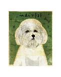 Poodle (white)-John W^ Golden-Art Print