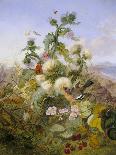A Pretty Still Life of Roses, Rhododendron, and Passionflowers-John Wainwright-Giclee Print