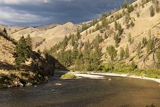 Middle Fork of the Salmon River, Frank Church River of No Return Wilderness, Idaho, Usa-John Warburton-lee-Framed Photographic Print