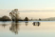 A Solitary Gate in Calm Flood-Waters in Farmland on West Sedgemoor, Near Stoke St Gregory-John Waters-Photographic Print