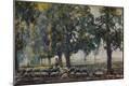 Giclee Print