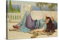 Stretched Canvas Print