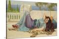 Stretched Canvas Print