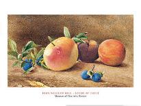 Study Of Fruit, 1877-John William Hill-Framed Art Print