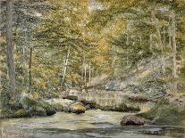 Woodland Pool with Men Fishing, 1870 (W/C on Paper)-John William Hill-Framed Giclee Print
