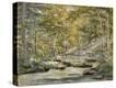 Stretched Canvas Print