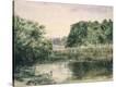 Stretched Canvas Print