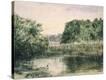 Stretched Canvas Print