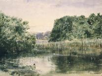 View of a Lake with Trees, 1857-John William Inchbold-Giclee Print