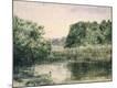 Giclee Print