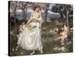 Stretched Canvas Print