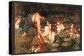Stretched Canvas Print