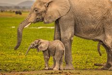 Elephant family train, Amboseli National Park, Africa-John Wilson-Photographic Print