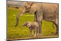 Photographic Print