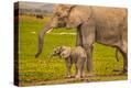 Stretched Canvas Print
