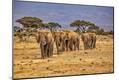 Photographic Print