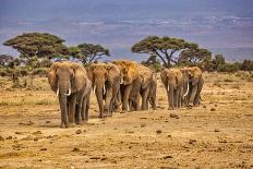 Elephant family train, Amboseli National Park, Africa-John Wilson-Photographic Print