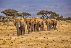 Red Elephant, Tsavo West National Park, Africa-John Wilson-Photographic Print