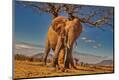 Photographic Print