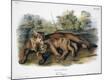 Giclee Print