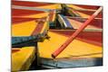 Photographic Print
