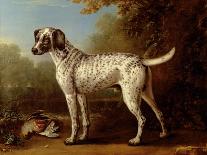 Grey Spotted Hound, 1738-John Wootton-Giclee Print