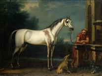 The Godolphin Arabien, Held by a Groom, in a Landscape with a Ruined Arch, 1731 (Oil on Canvas)-John Wootton-Giclee Print