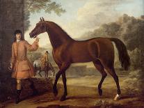 Lord Portmore Watching Racehorses on Exercise on Newmarket Heath, c.1735-John Wootton-Premier Image Canvas