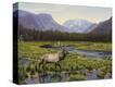 Stretched Canvas Print