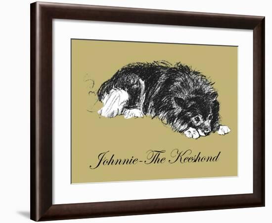 Johnnie-The Keeshond-Lucy Dawson-Framed Art Print