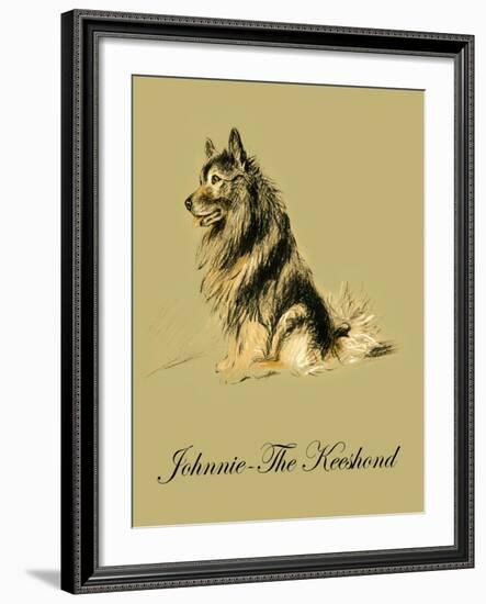 Johnnie The Keeshond-Lucy Dawson-Framed Art Print