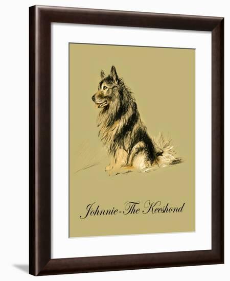 Johnnie The Keeshond-Lucy Dawson-Framed Art Print