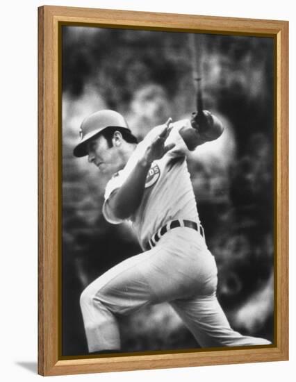 Johnny Bench, During Baseball Game, in Cincinnati-John Dominis-Framed Premier Image Canvas