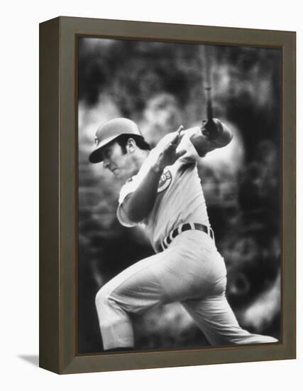 Johnny Bench, During Baseball Game, in Cincinnati-John Dominis-Framed Premier Image Canvas