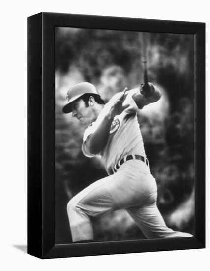 Johnny Bench, During Baseball Game, in Cincinnati-John Dominis-Framed Premier Image Canvas